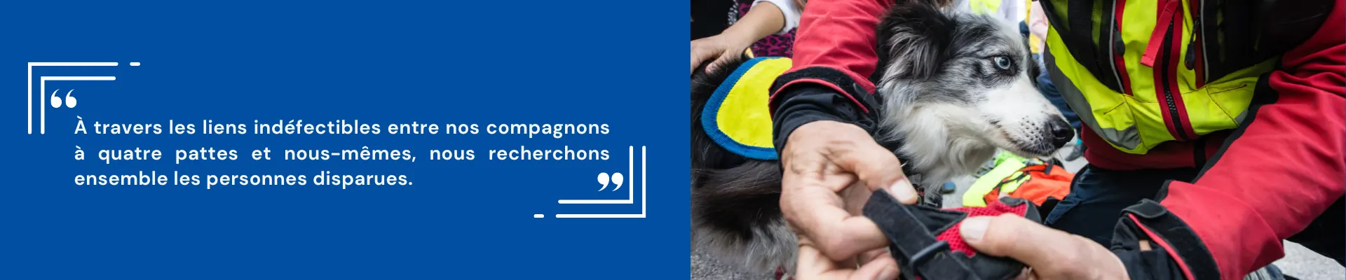 bannière Association Chiens de recherches Auvergne-A.C.R.A-Association Chiens de Recherche Auvergne-Recherche en milieu naturel-Formation de chiens-Urgences-assistance-personnes disparues-secours-2