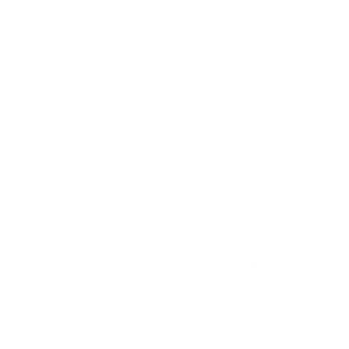 icon association créee en 2021-A.C.R.A-Association Chiens de Recherche Auvergne-Recherche en milieu naturel-Formation de chiens-Urgences-assistance-personnes disparues-secours