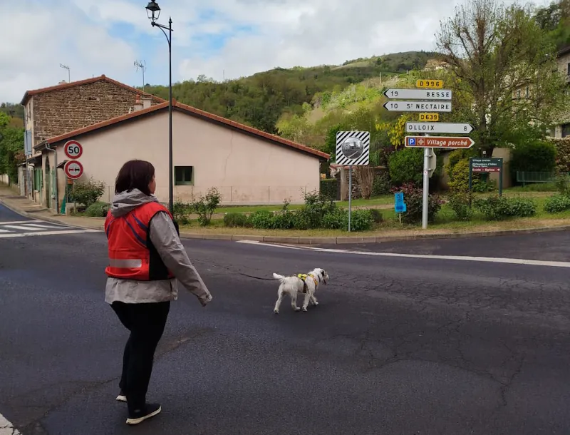nos actions recherche d'odeur-A.C.R.A-Association Chiens de Recherche Auvergne-Recherche en milieu naturel-Formation de chiens-Urgences-assistance-personnes disparues-secours