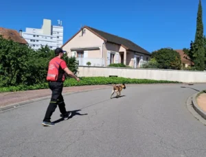 nos équipes Gaëtan et Simca-A.C.R.A-Association Chiens de Recherche Auvergne-Recherche en milieu naturel-Formation de chiens-Urgences-assistance-personnes disparues-secours