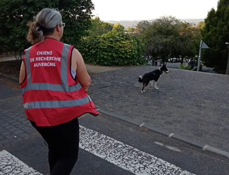 nos équipes Laetitia et Vichy-A.C.R.A-Association Chiens de Recherche Auvergne-Recherche en milieu naturel-Formation de chiens-Urgences-assistance-personnes disparues-secours